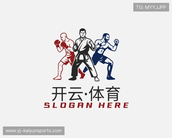 关于开云官网入口地址