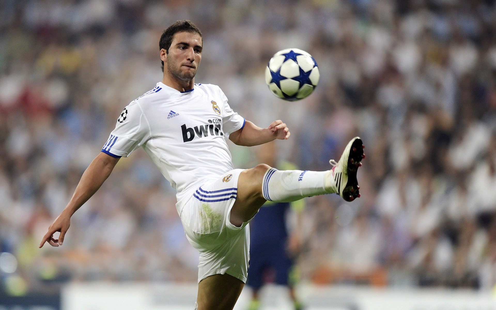 公牛训练结束后组织战术问答考验球员理解，公牛教练组