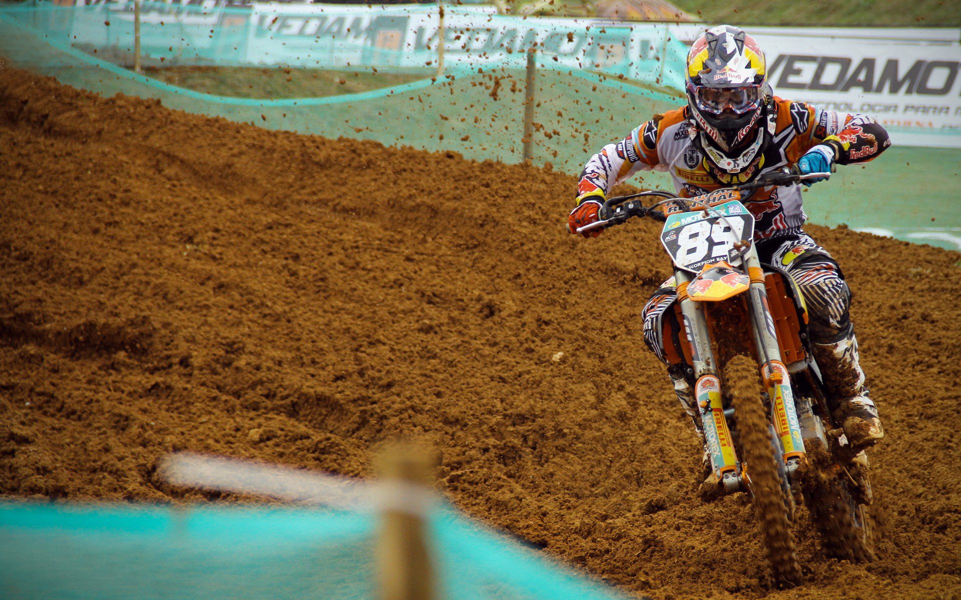 美洲杯夺冠夜：英雄辈出，成就传奇，美洲杯冠军视频