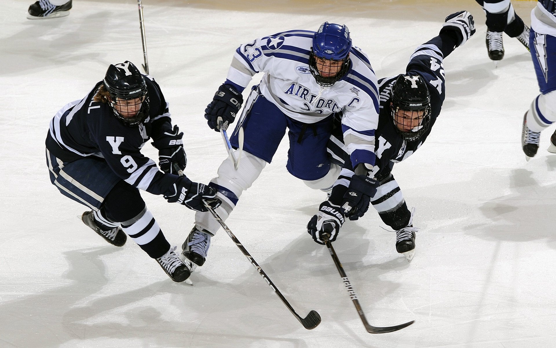 达里尔·基：全黑队的“战术屏障”，总能在对方最强的攻势面前稳住局面